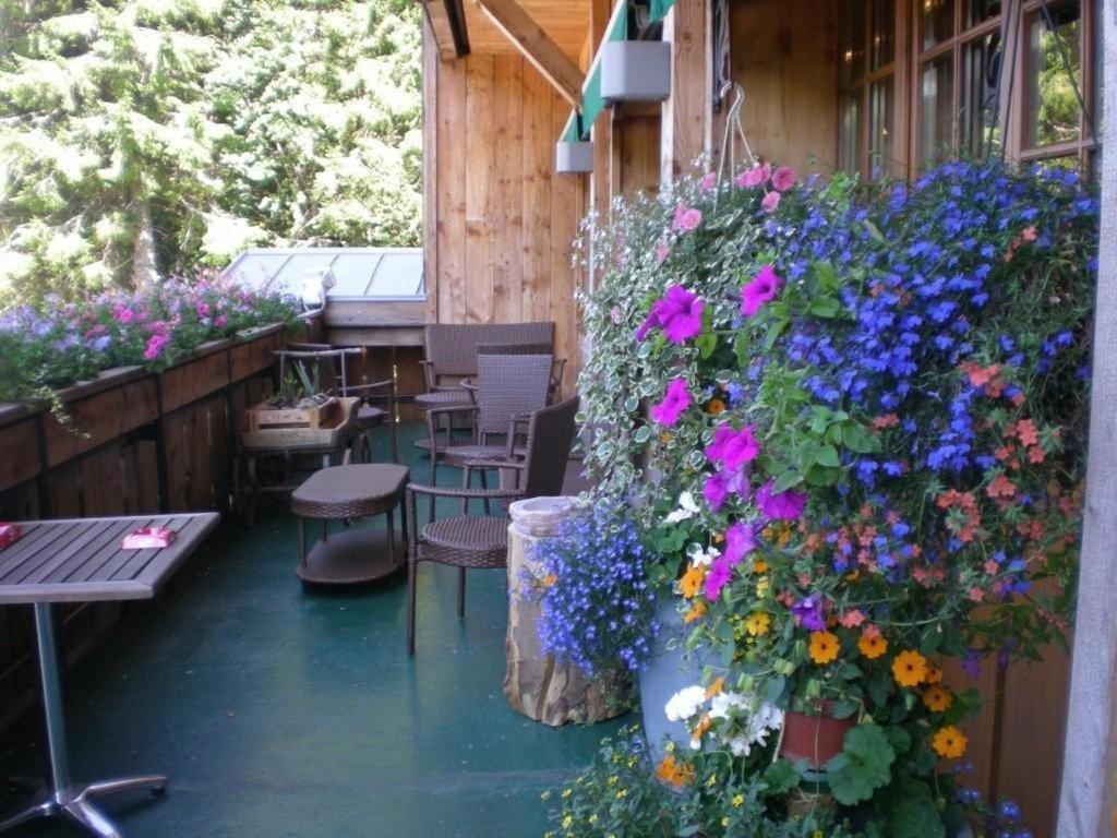 Chalet Hotel Le Collet Xonrupt-Longemer Eksteriør billede